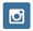 ins-icon
