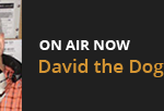 david1