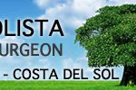 spaintree_kitt