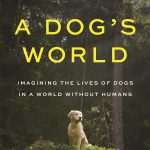 Interviews W/C June 26th 2023 Talk Radio Europe