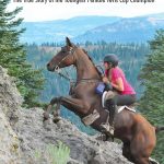 Interviews W/C October 9th 2023 Talk Radio Europe