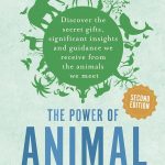 Interviews W/C November 6th 2023 Talk Radio Europe