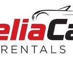 DELIA CAR LOGO 2