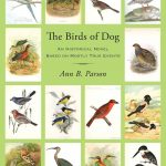 Interviews W/C January 15th 2024 Talk Radio Europe