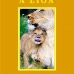 Interviews W/C February 5th 2024 Talk Radio Europe