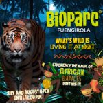 200×200 tretalk radio