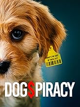 Interviews W/C September 8th 2025 Talk Radio Europe