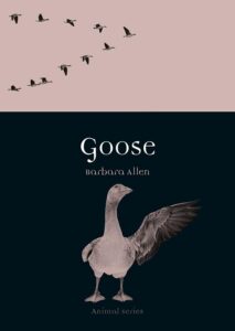 Goose (Animal)